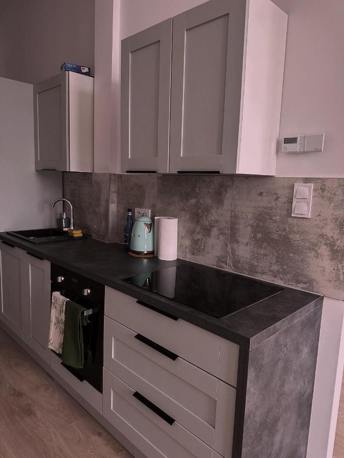 Loft Przy Placu Niepodleglosci Apartment Jelenia Gora Luaran gambar