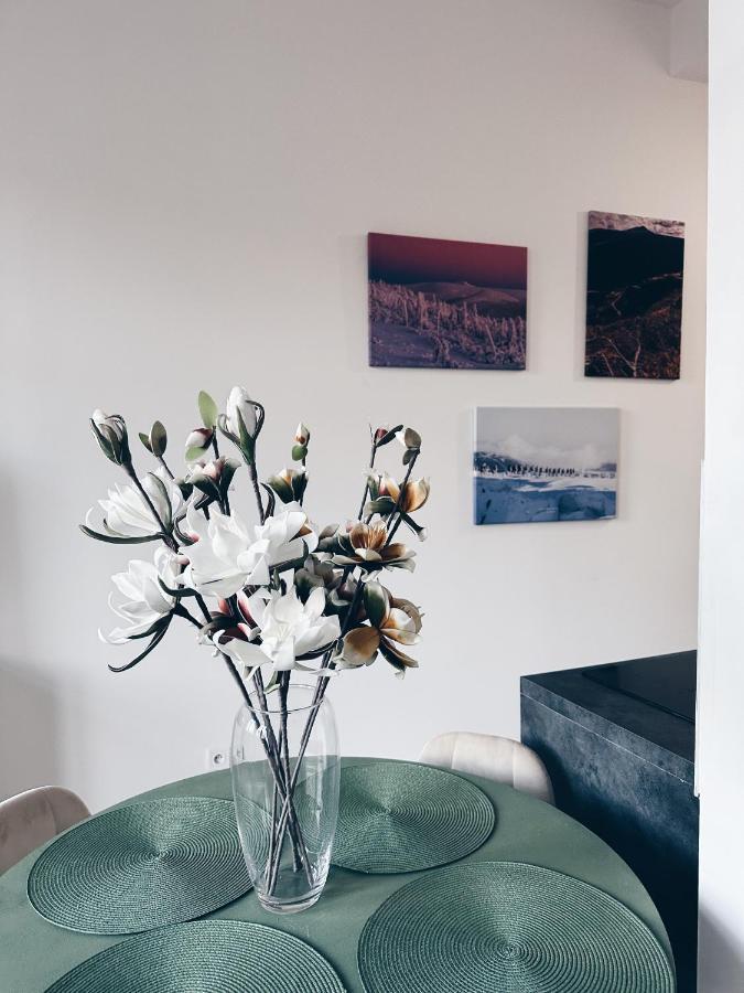Loft Przy Placu Niepodleglosci Apartment Jelenia Gora Luaran gambar